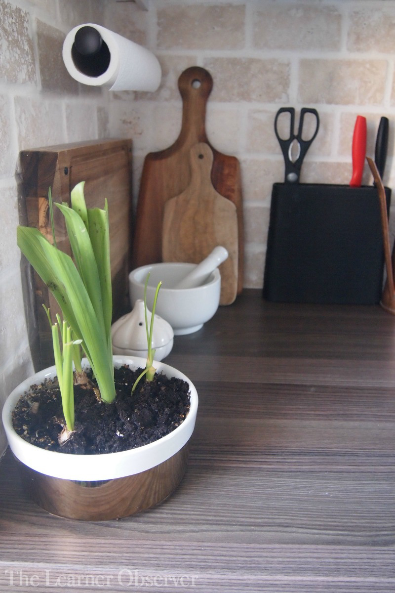 It's OK to have stuff on the counters