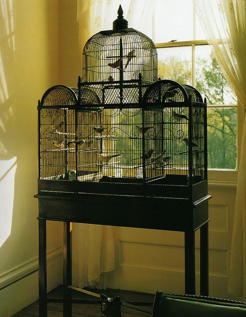  Got birds to house? Make their house part of your decor like this pretty rendition that sits in front of the window for breeze and sun. 