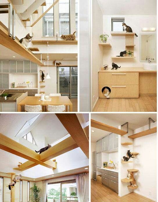  Who says cat decor can’t blend nicely into home decor? Here’s a great example… for some really lucky cats! 