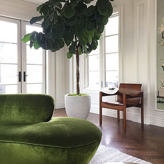 Curvy furniture, velvet furniture, and plants are all big hits.