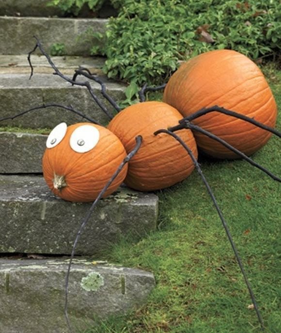 spider-pumpkin-halloween.jpg