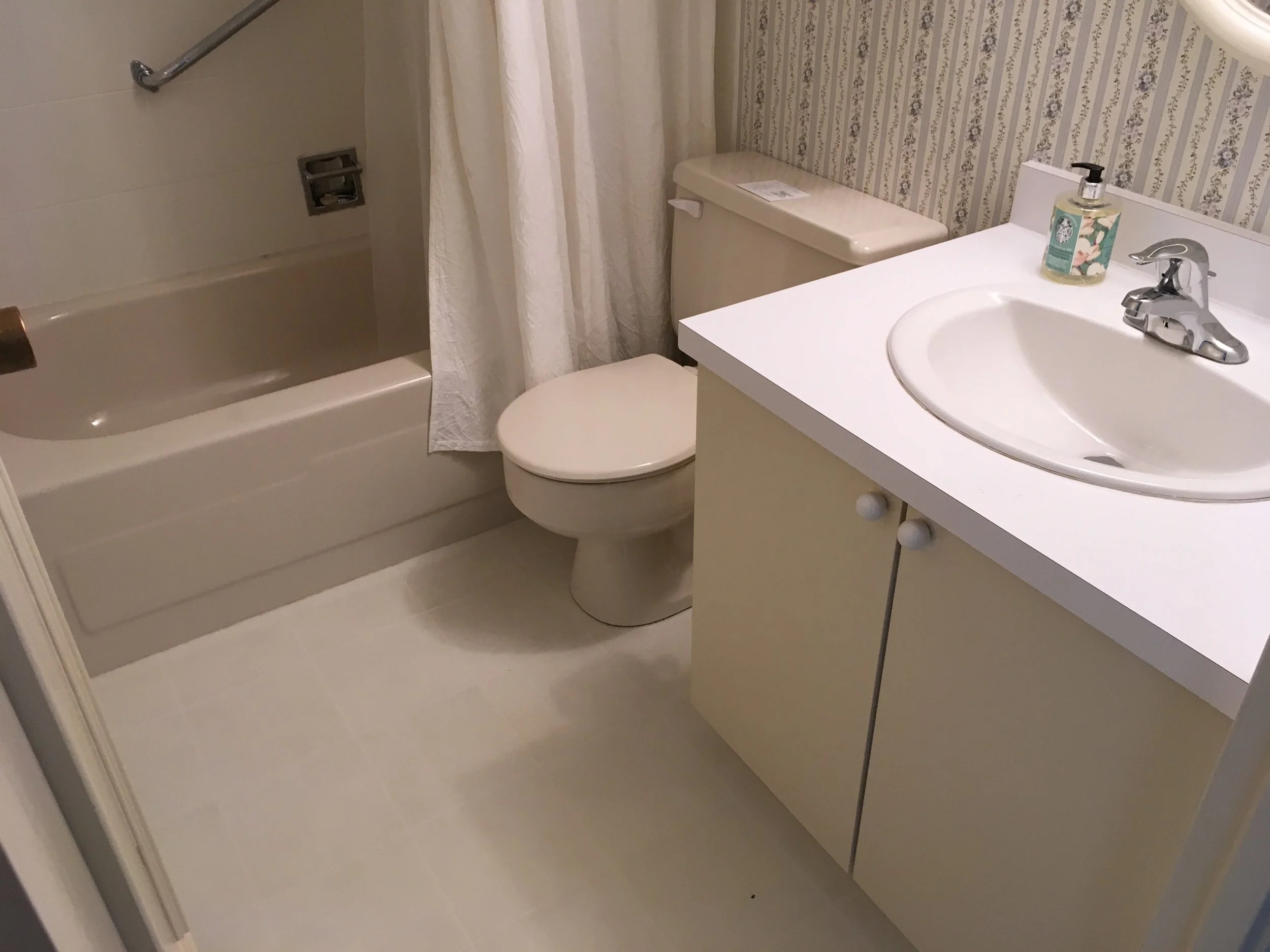 Before - Main Bathroom