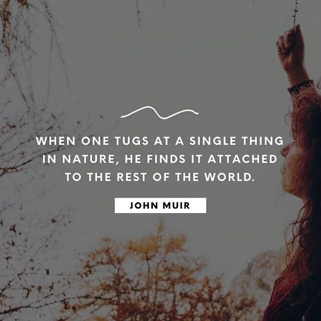 What&rsquo;s in your nature? Connect with this, &amp; watch a world unfold before your eyes.
- -
#Nature #Natural #Knowyournature #Knowyourself #Connection #Selfconnection #Connectwithnature #Itsallconnected #Getconnected #Mindbodyconnection #Mindbod
