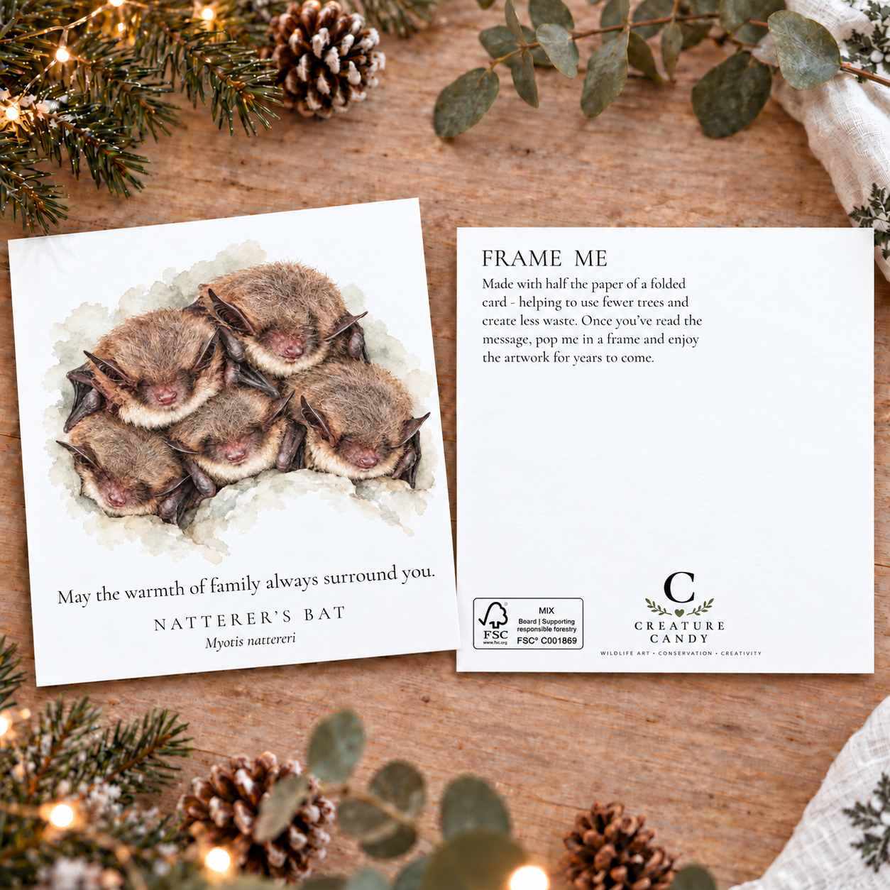Bat christmas postcards pack shot.PNG