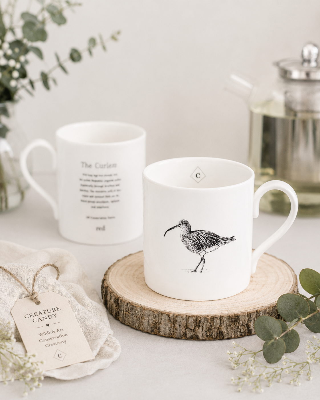 mug curlew.PNG
