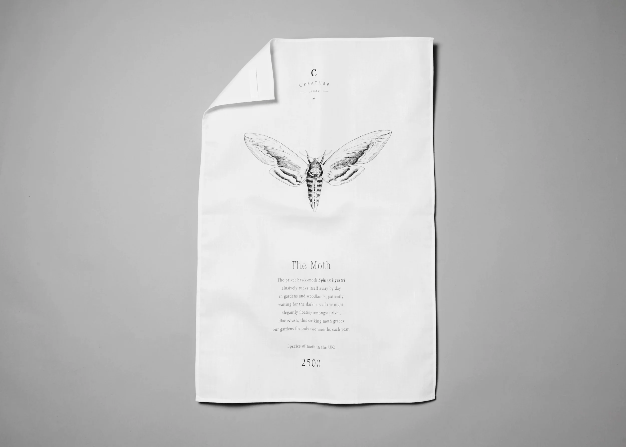 MOTH_TEA_TOWEL.jpg