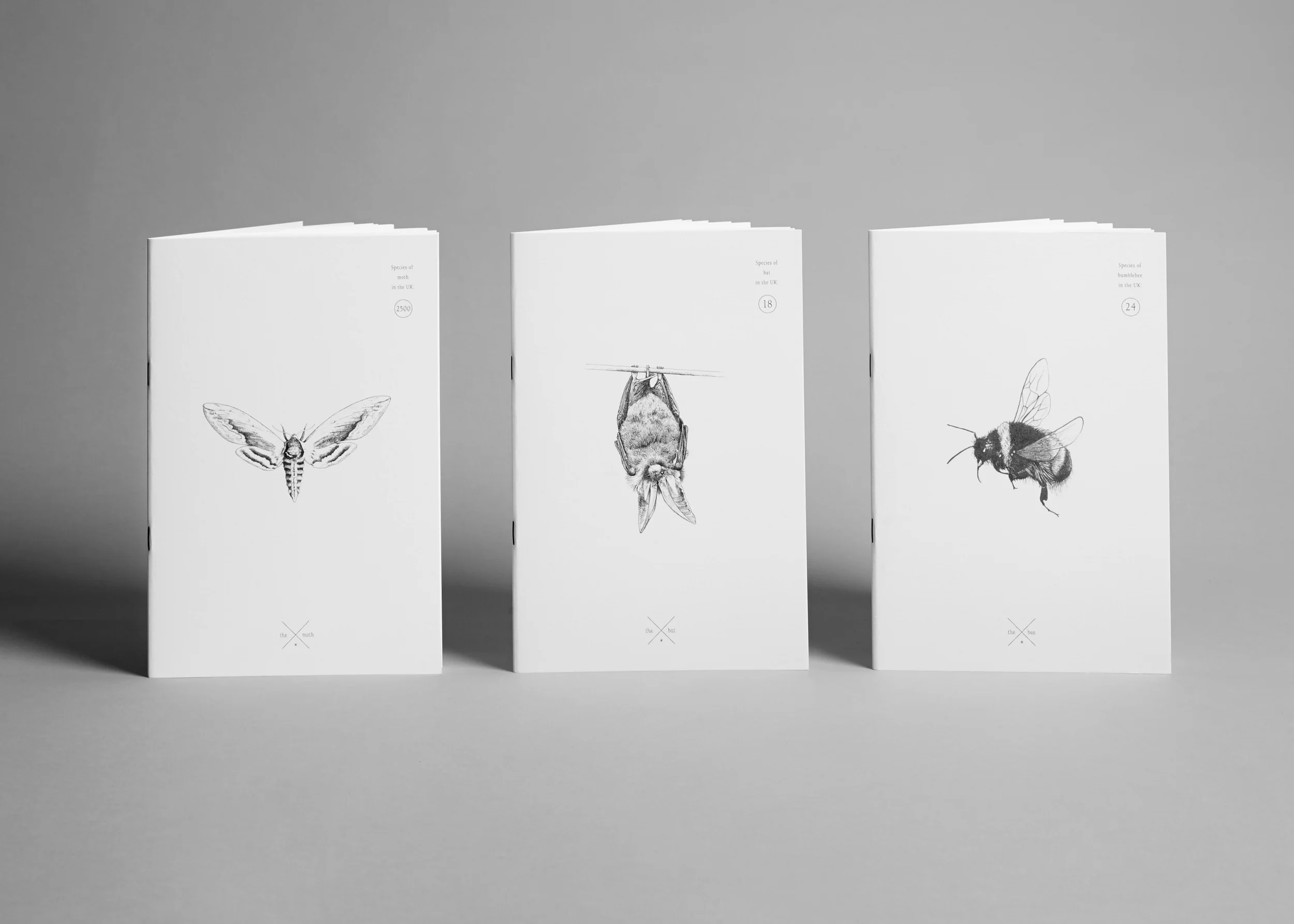 10% Off Everything This Easter! 