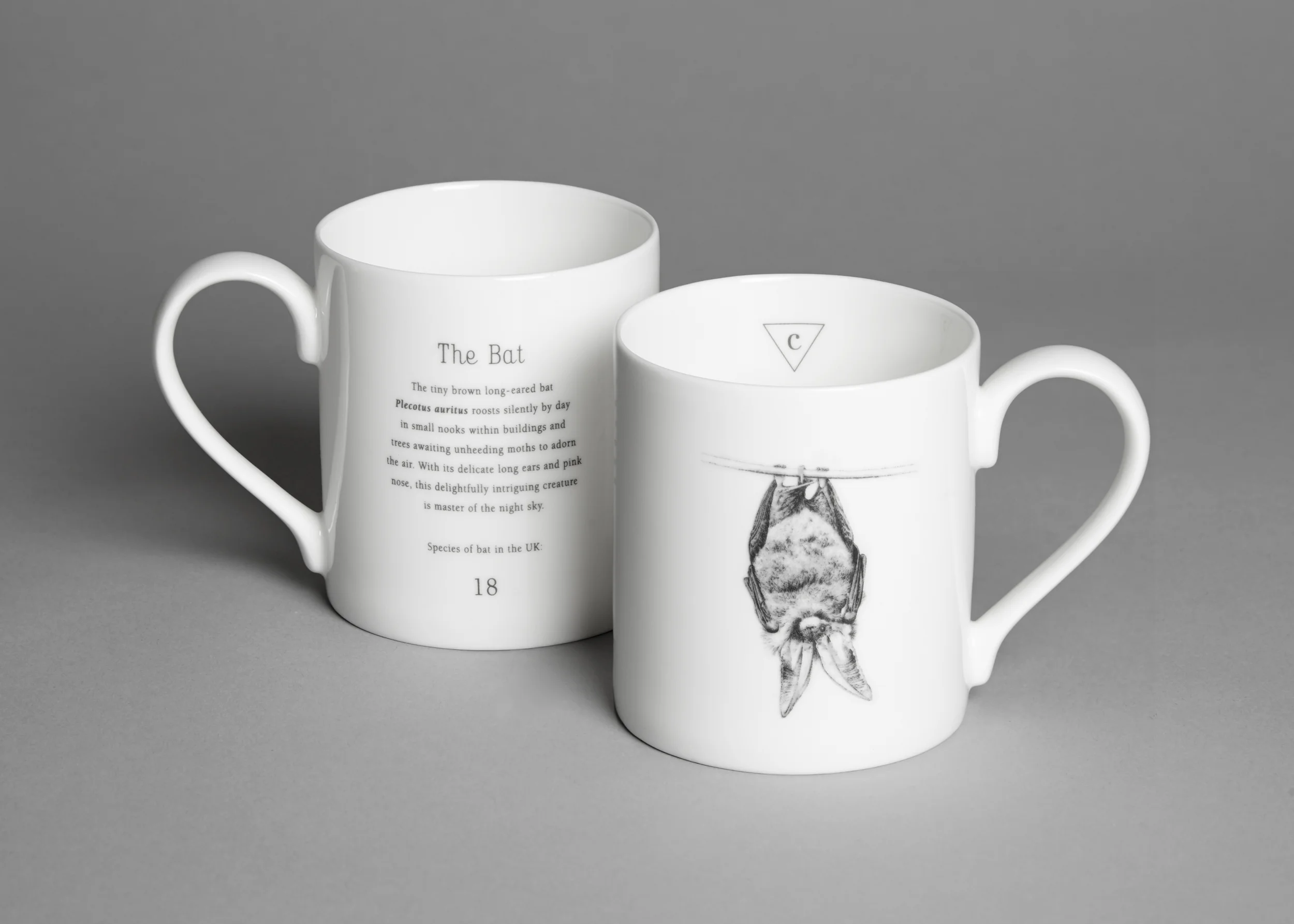 Creature Candy Donates Funds to Bat Conservation Trusts National Bat Helpline