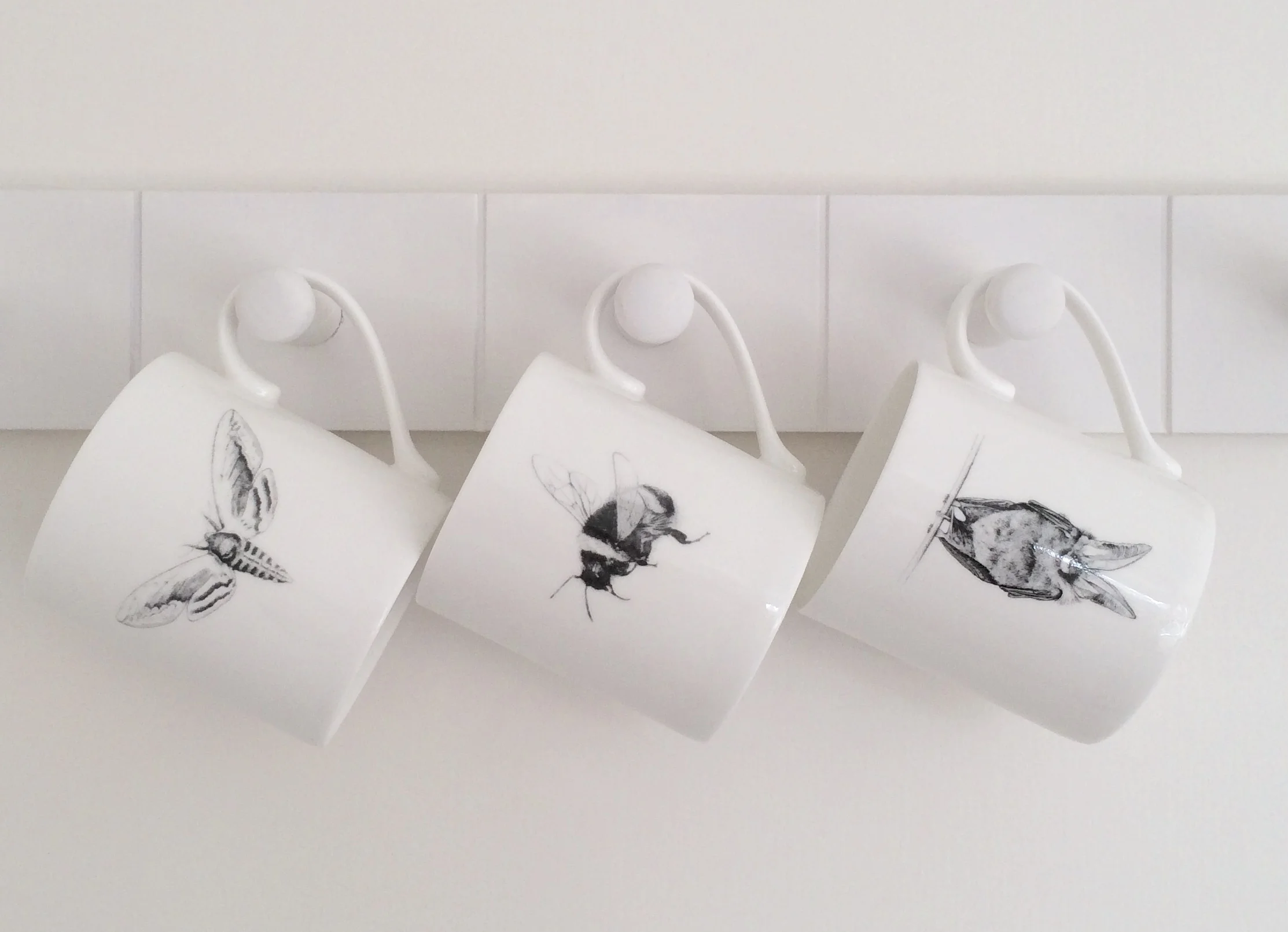 Inspiring Others - The Novice Project