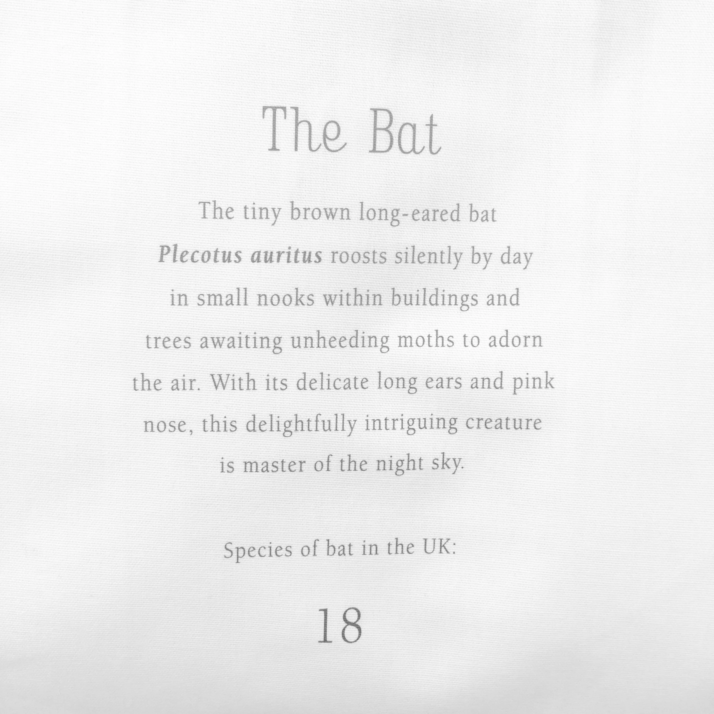 Bat tea.jpg