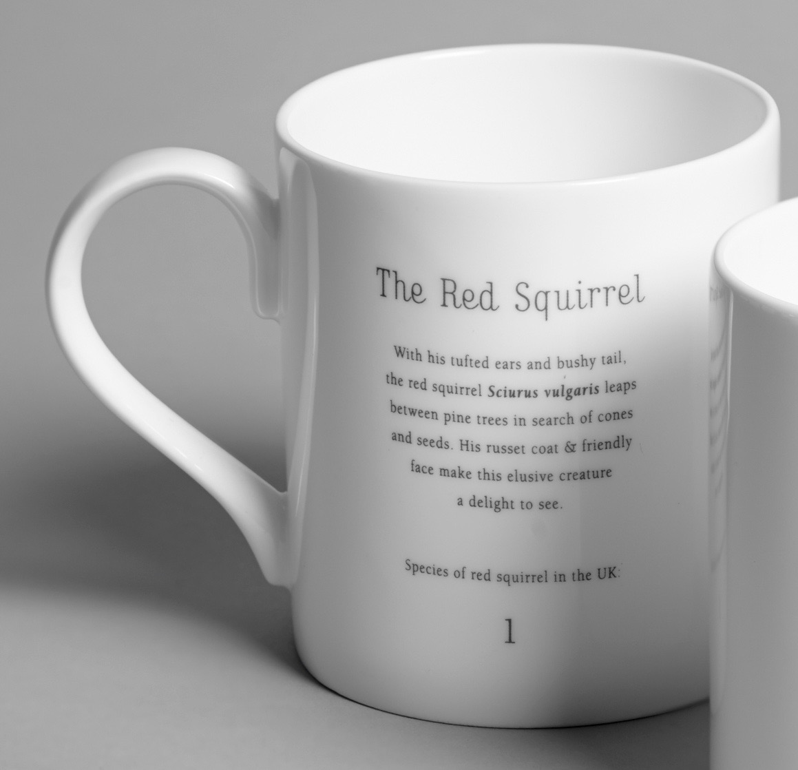 Mug Squirrel back.jpg