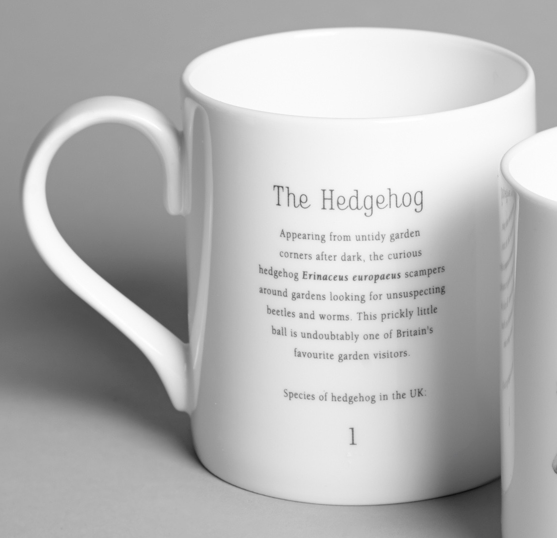 Mug Hedgehog back.jpg