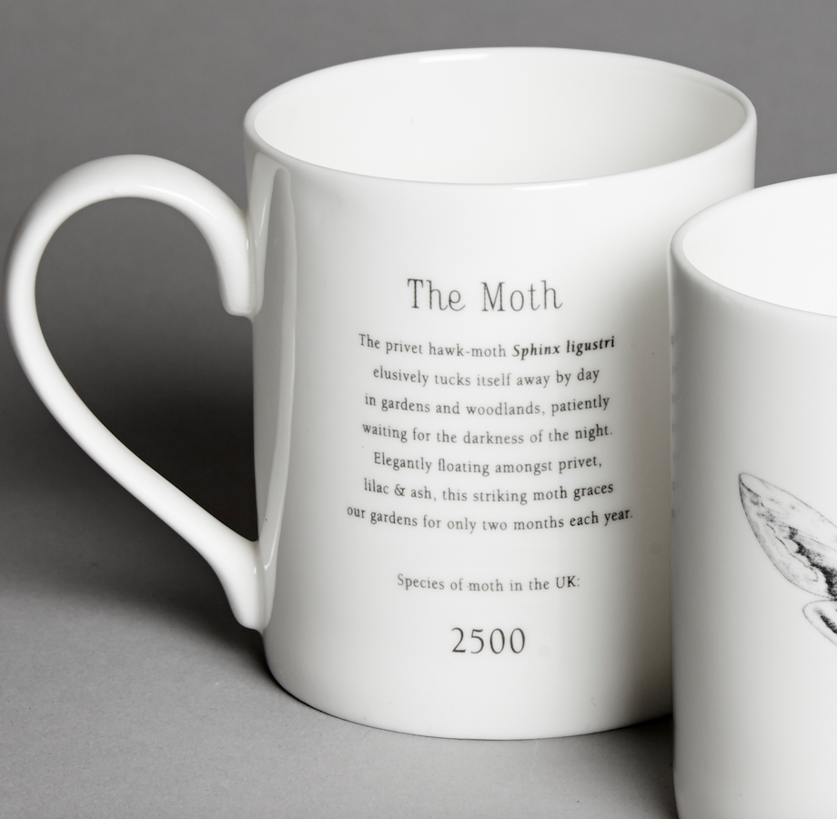 Moth Mug Text.png
