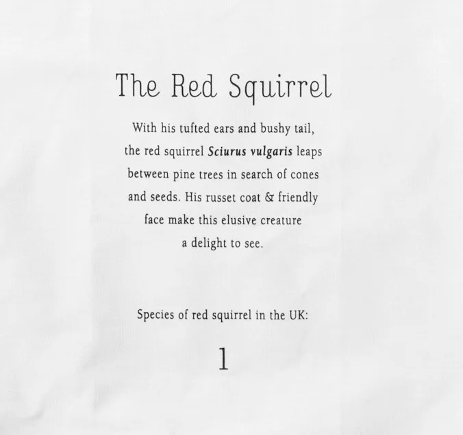 Teatowel Squirrel text.jpg
