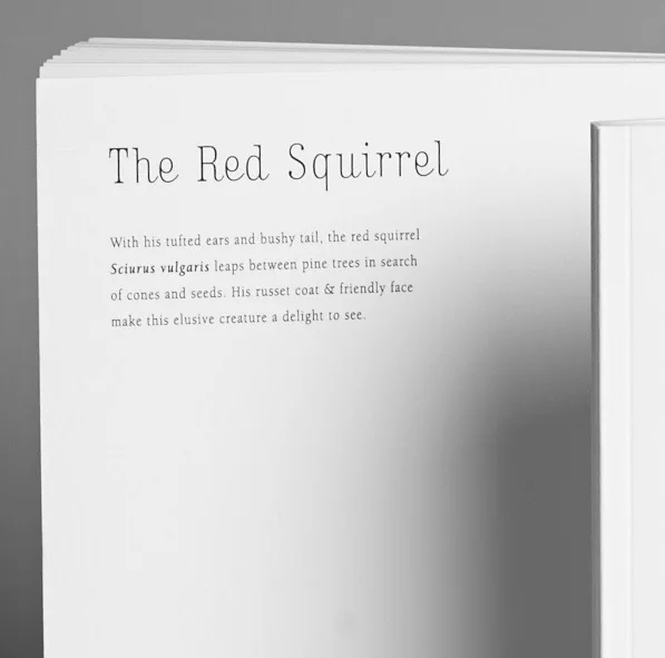 Note Book Squirrel back.jpg