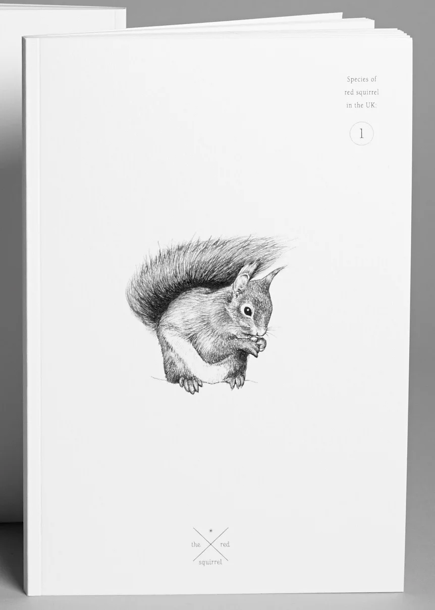 Note Book Squirrel front.jpg