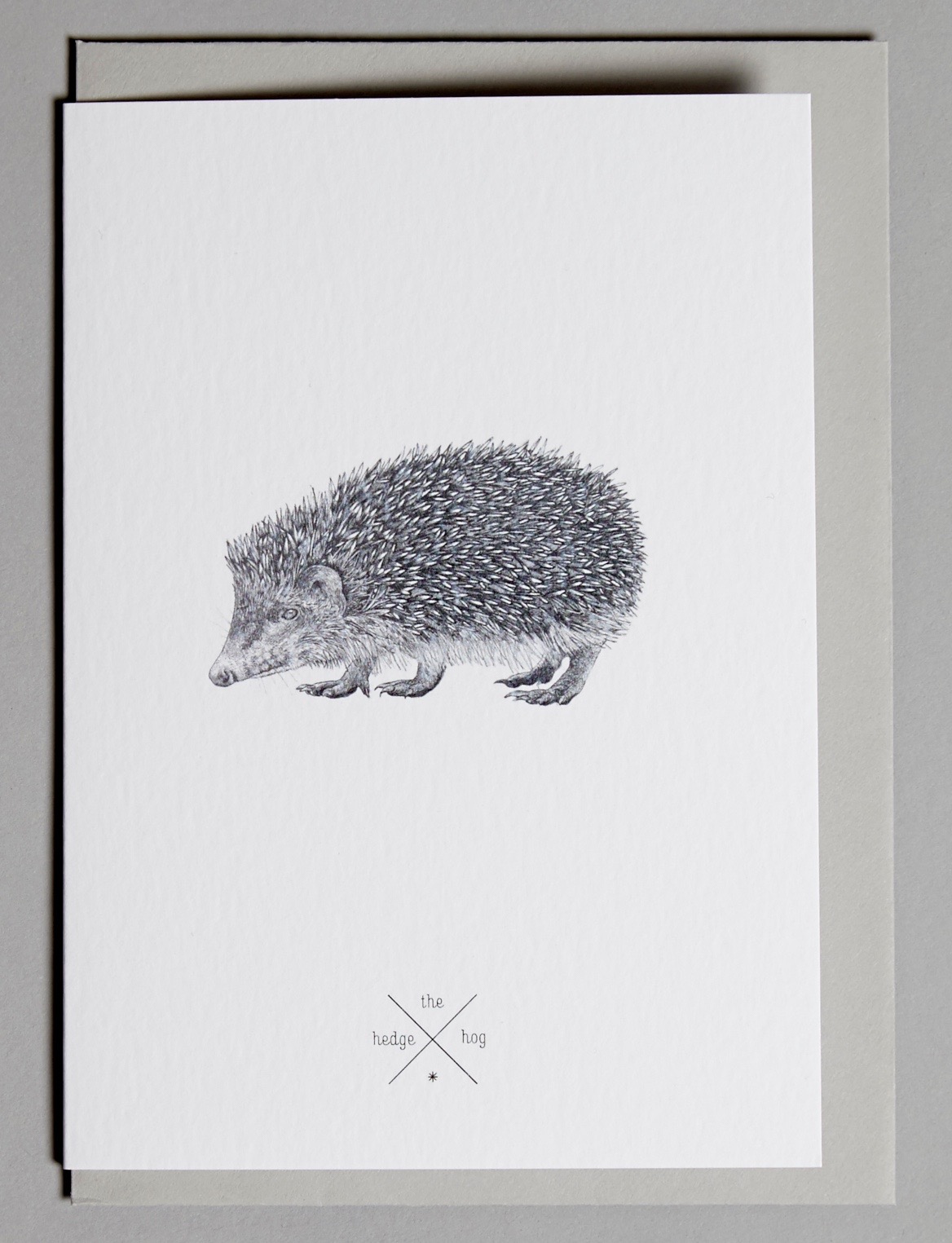 Cards Hedgehog close.jpg