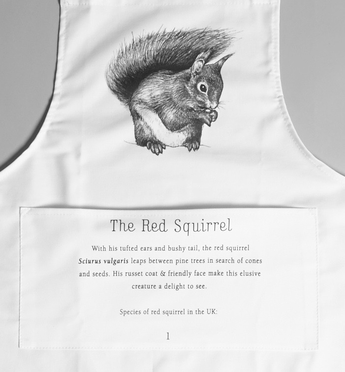 Apron Squirrel text.jpg