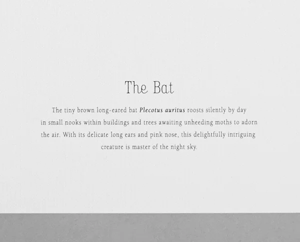 Print-bat text.jpg
