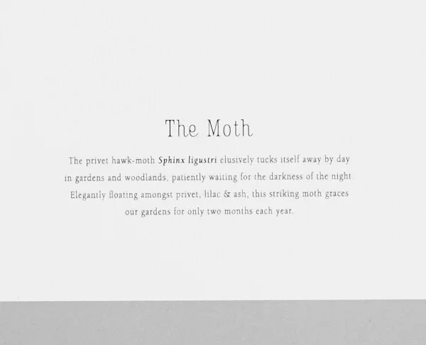 Print-moth text.jpg