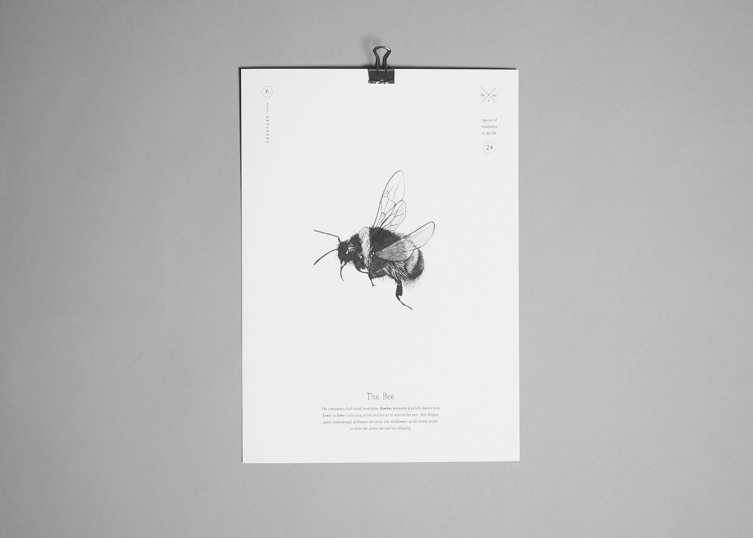 Print-bee.jpg