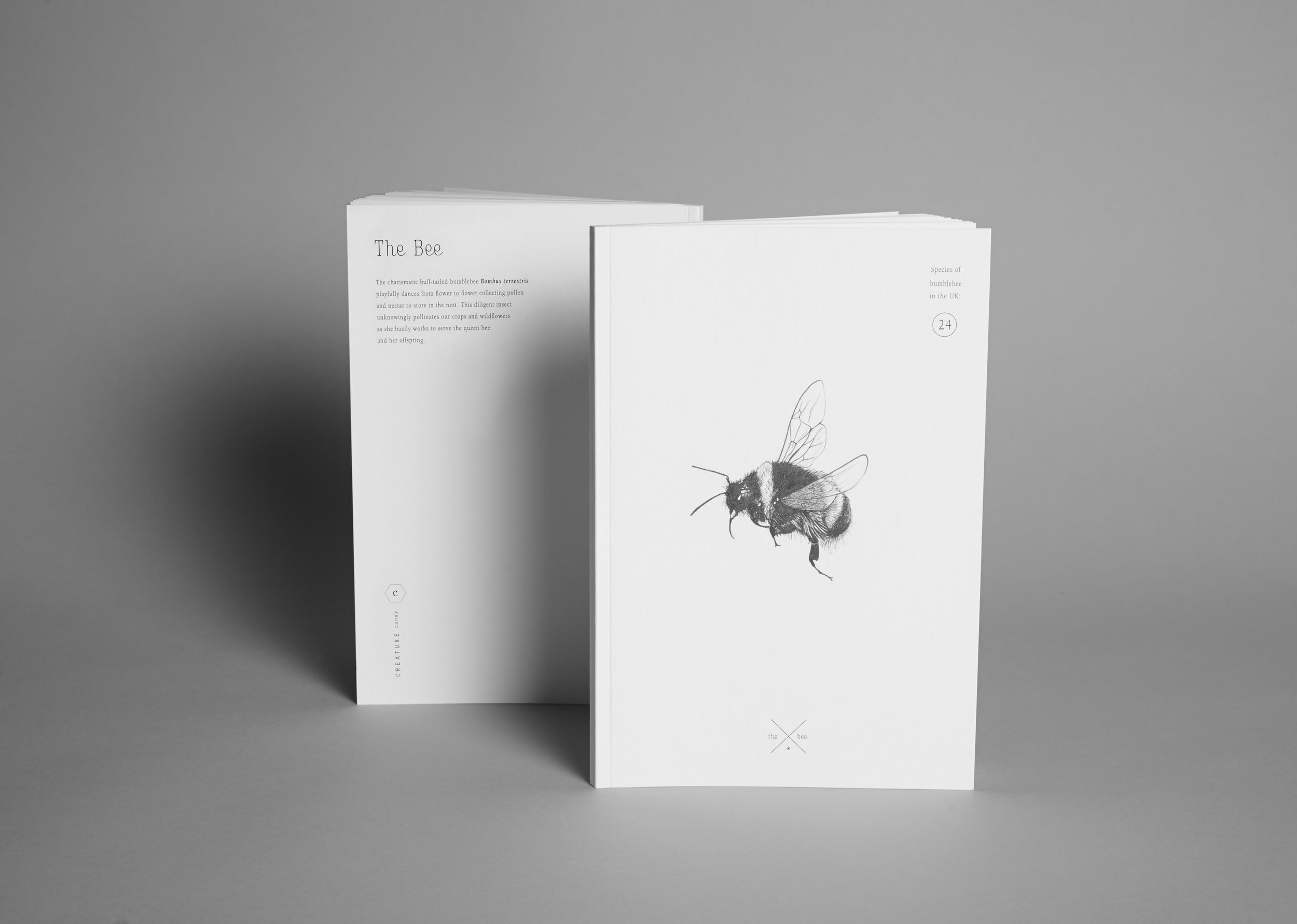 Note book-bee.jpg