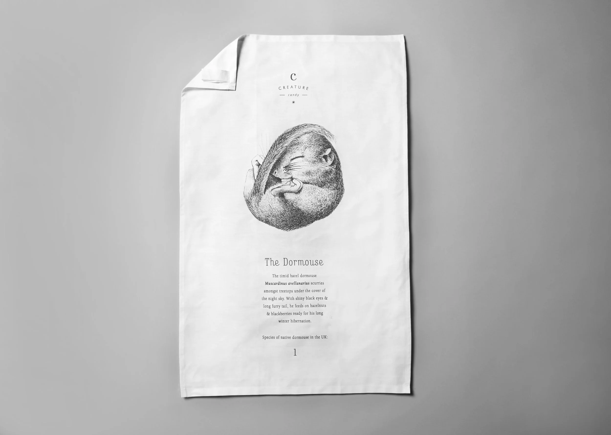 Teatowel_Doormouse.jpg