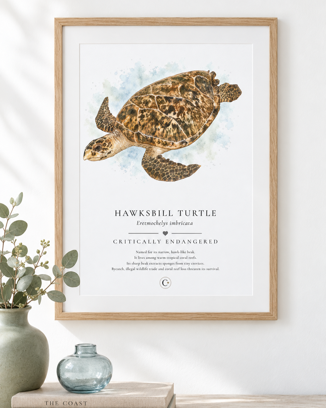 Turtle+Print+Digital+Pack+Shot.png