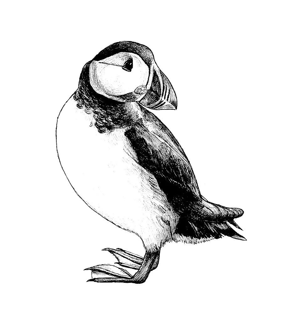 NEW Creature Candy puffin design. 