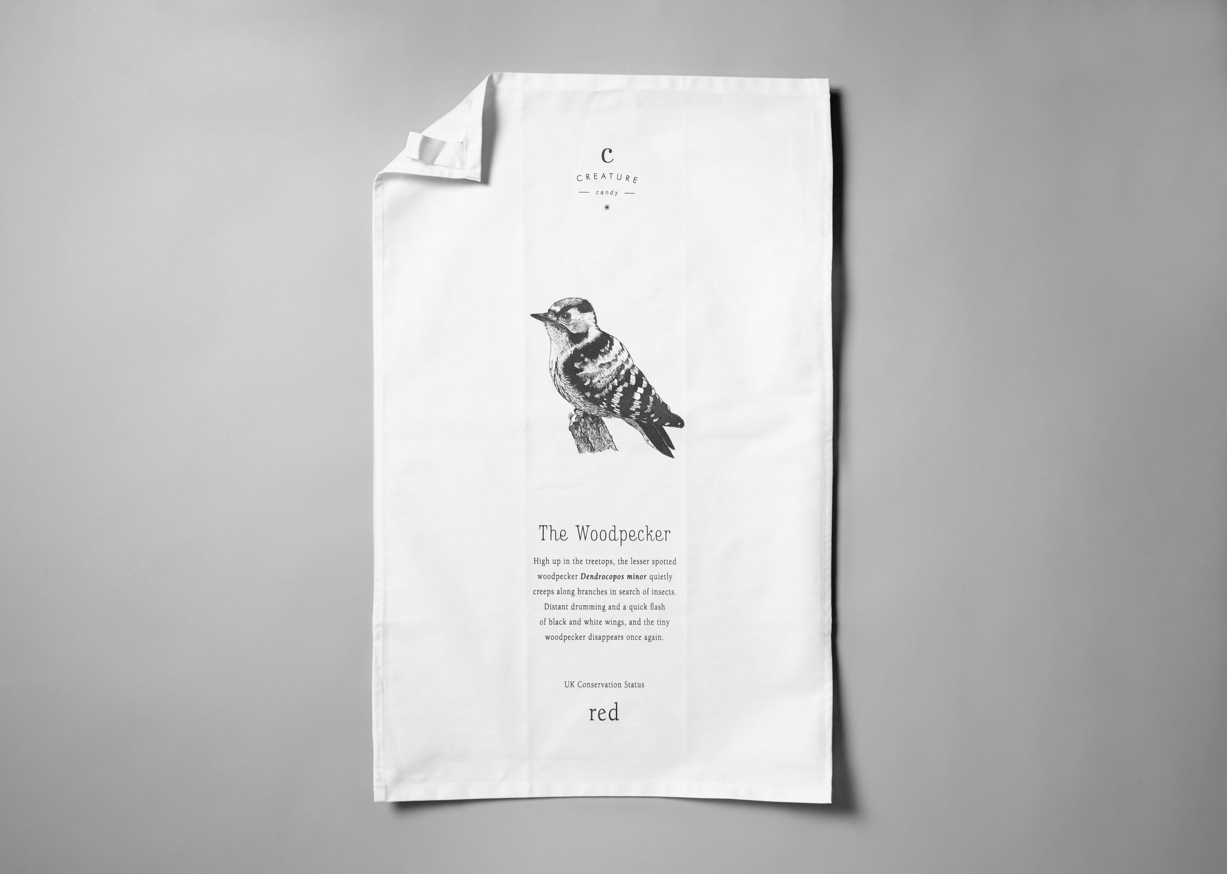 Teatowel bird.jpg