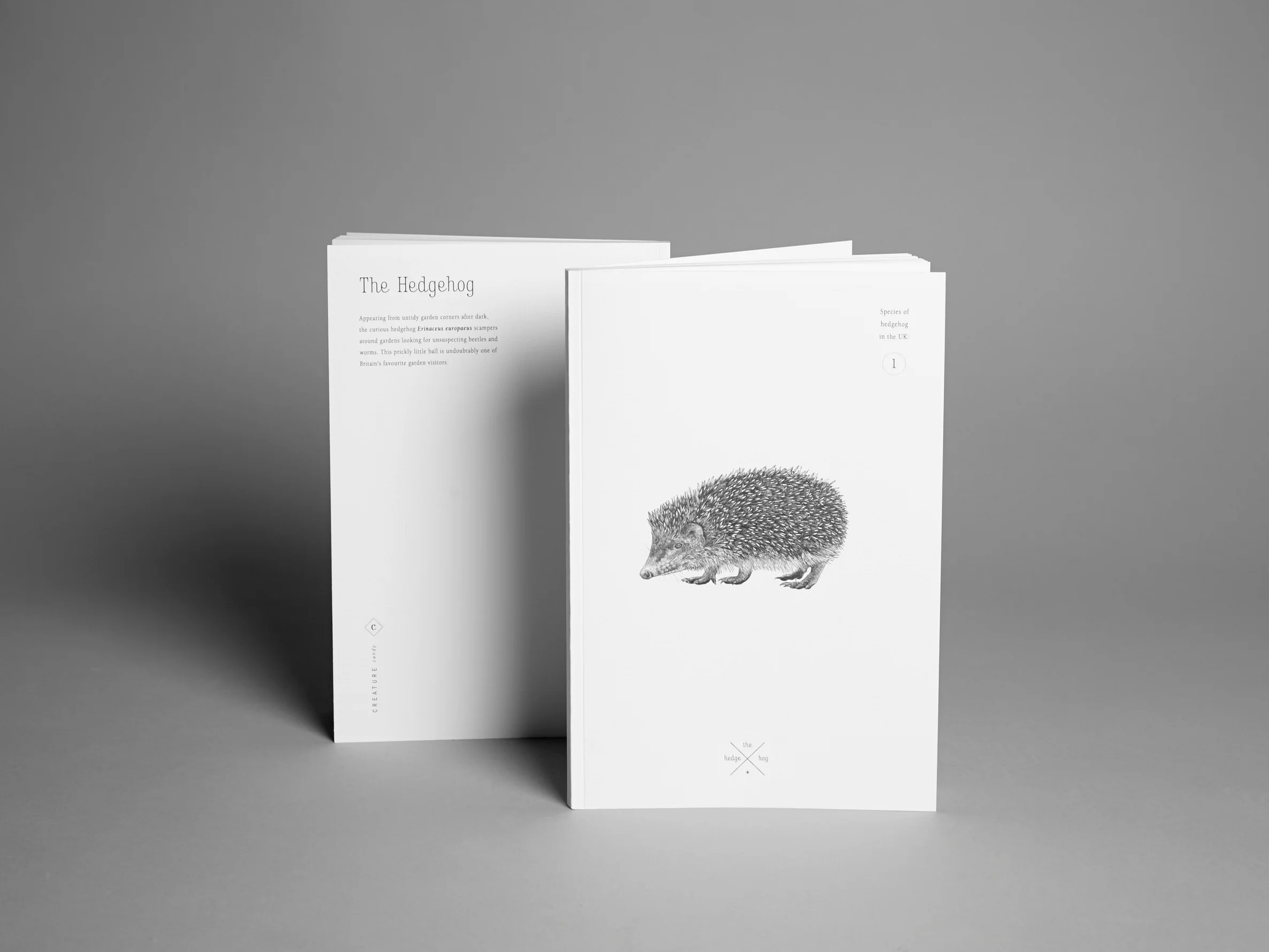 Note+Book+Hedgehog.jpg