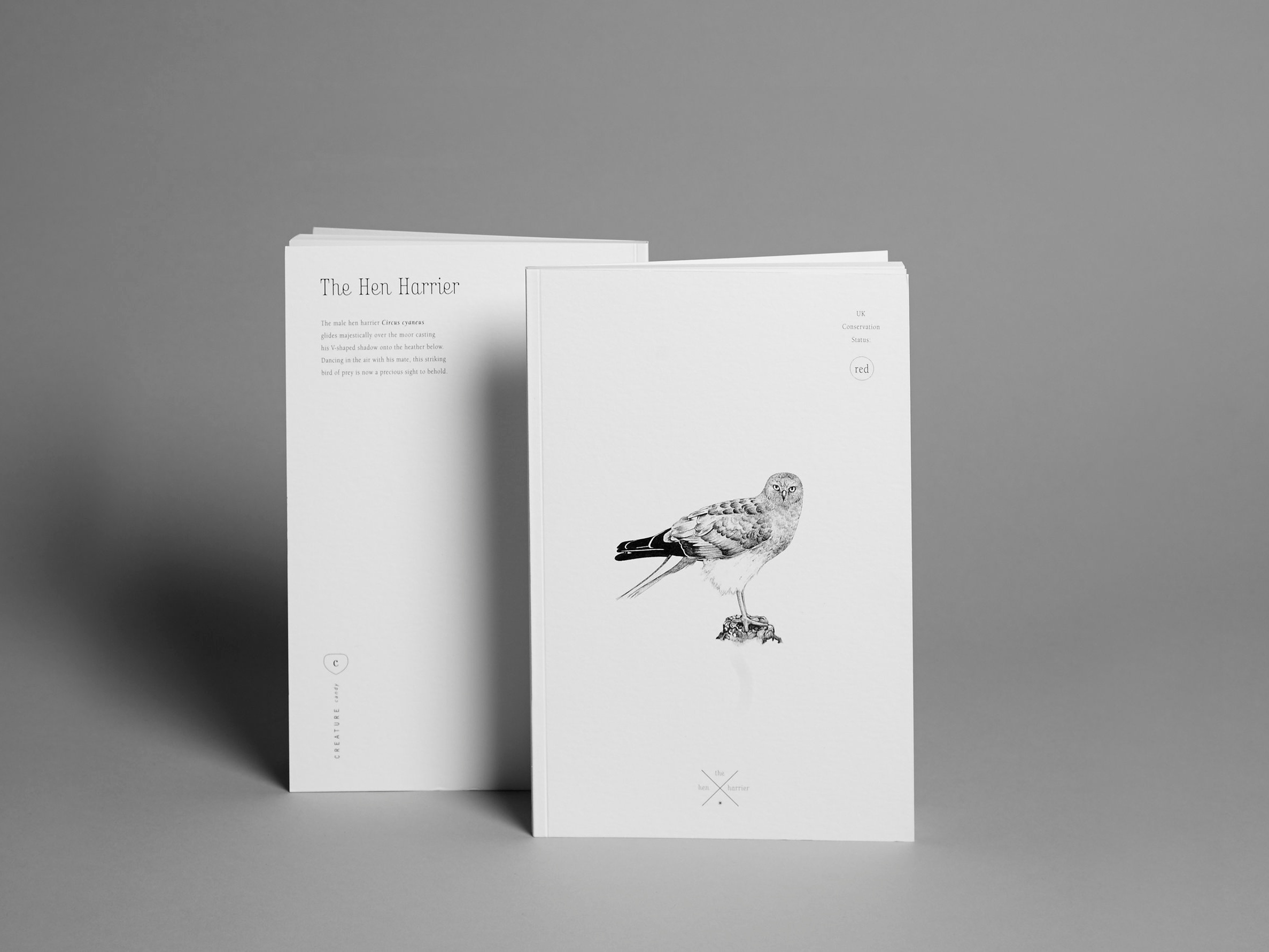 Notebook-hen.jpg