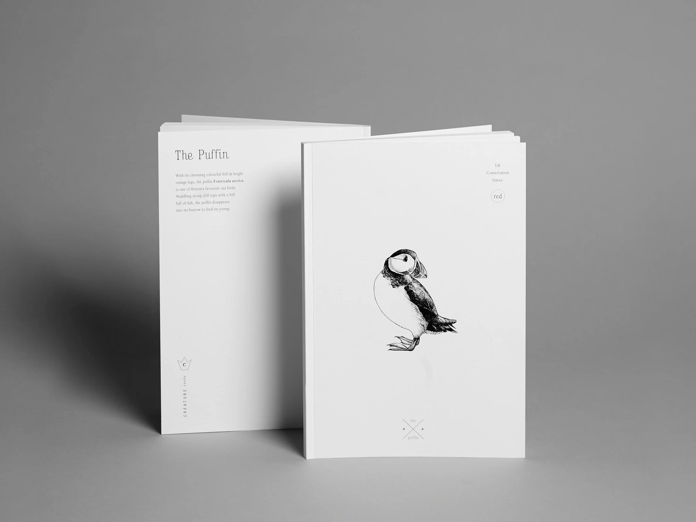 Notebook-puffin.jpg