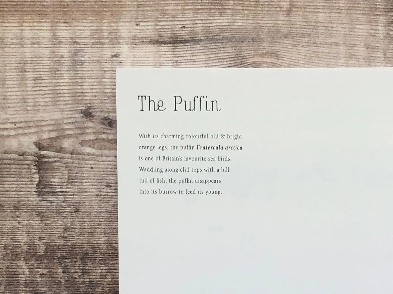 Puffin2_3975.jpg