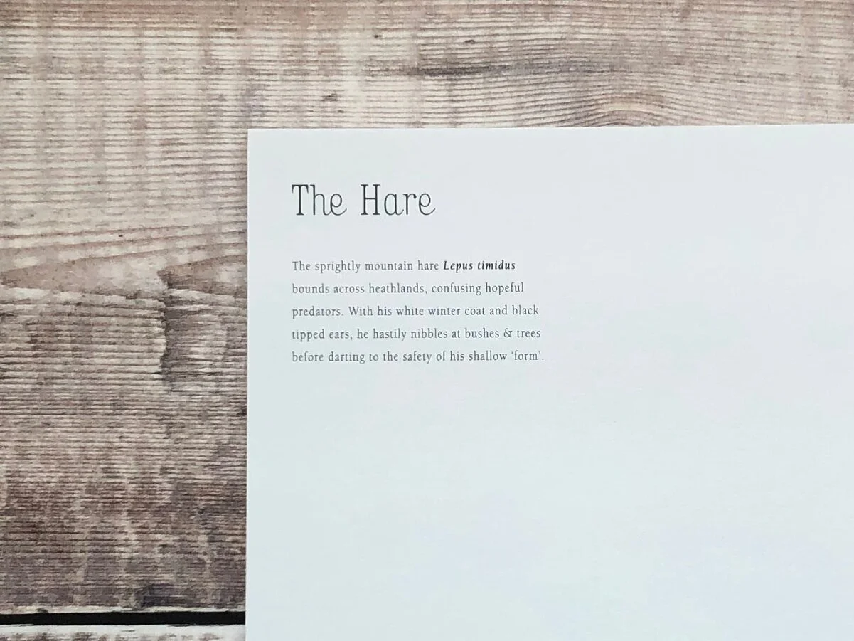 Hare2_4886.jpg