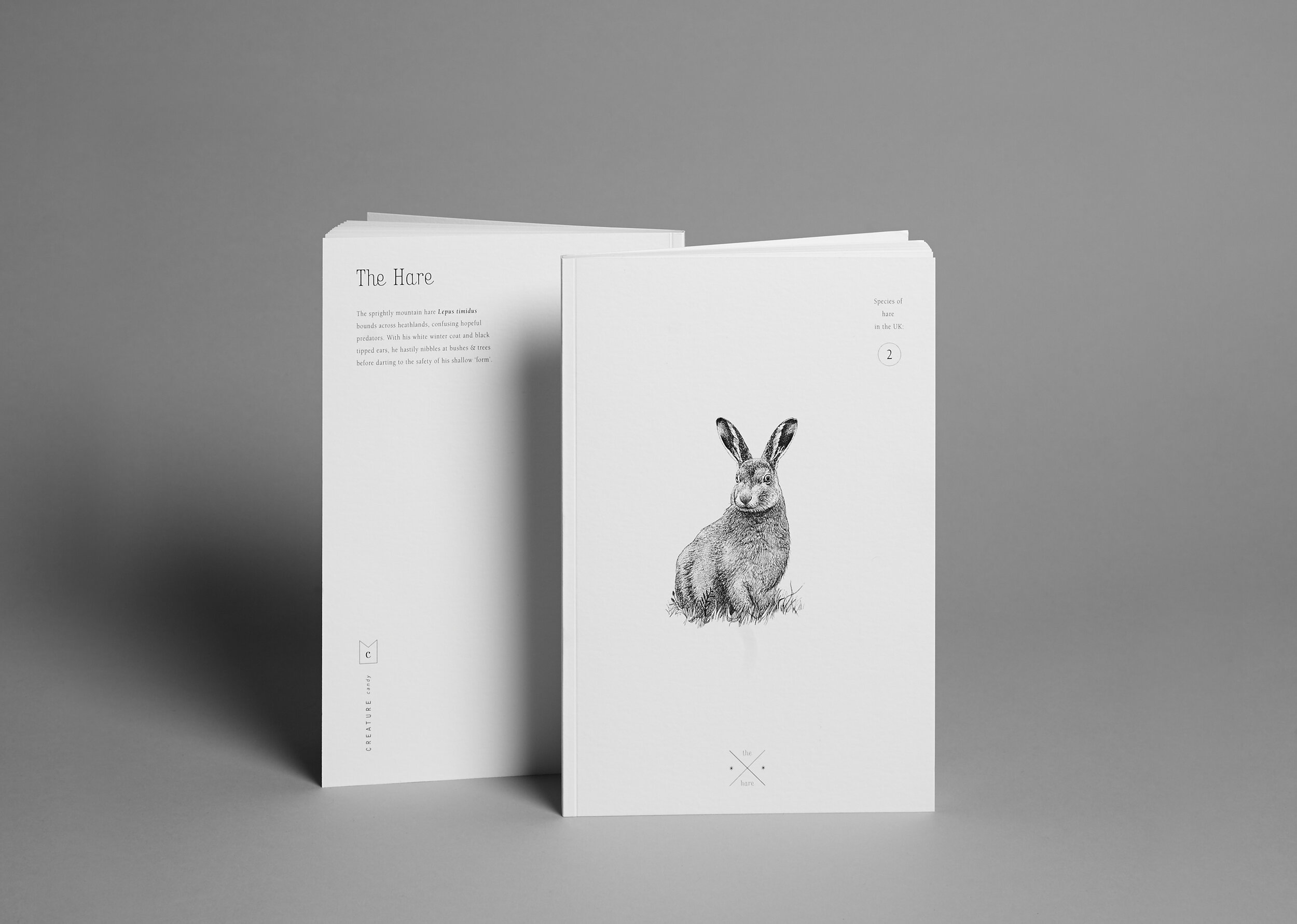 notebook-hare.jpg