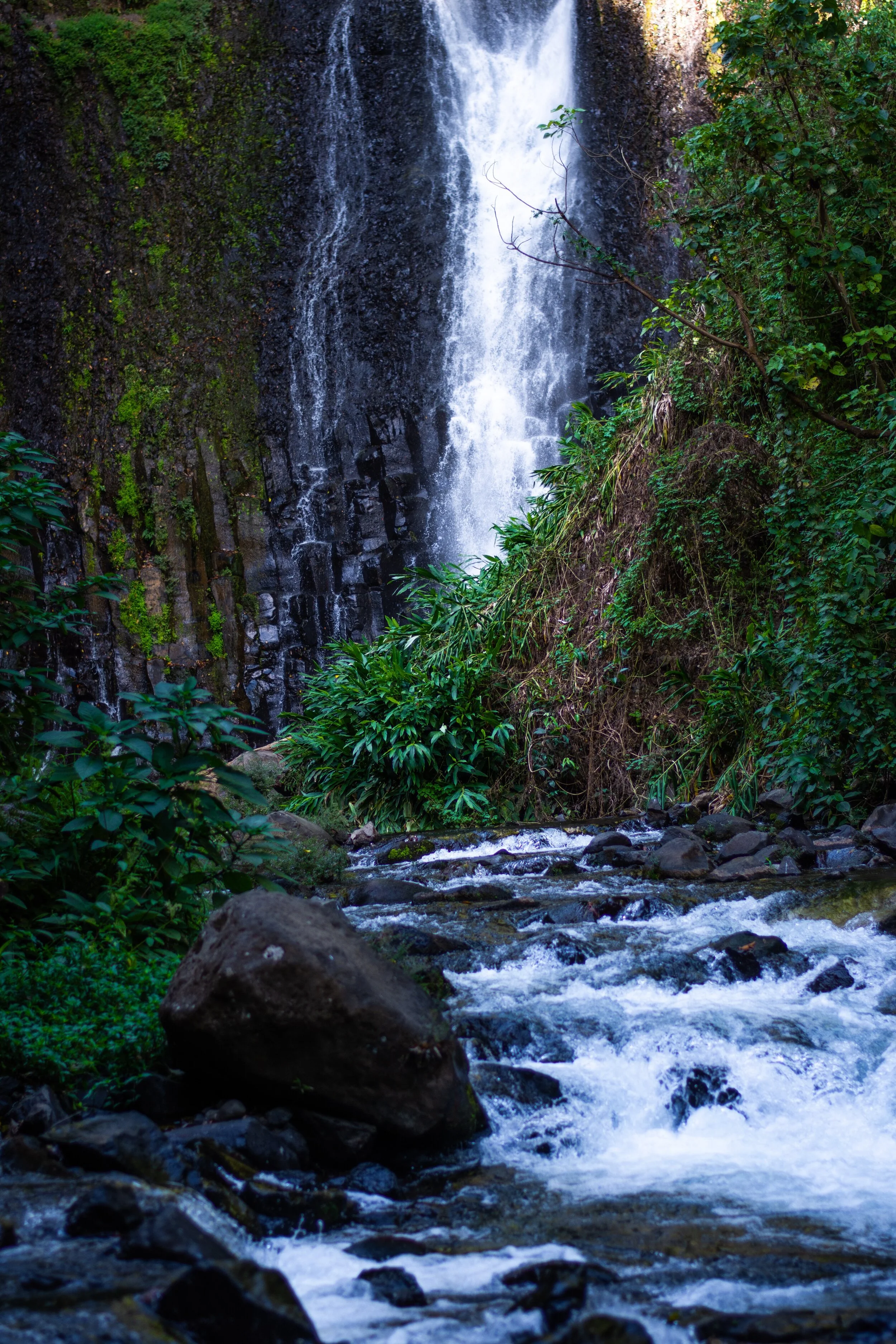 6D4EDB4D-66CB-46B9-8E84-4D788707053C.JPG