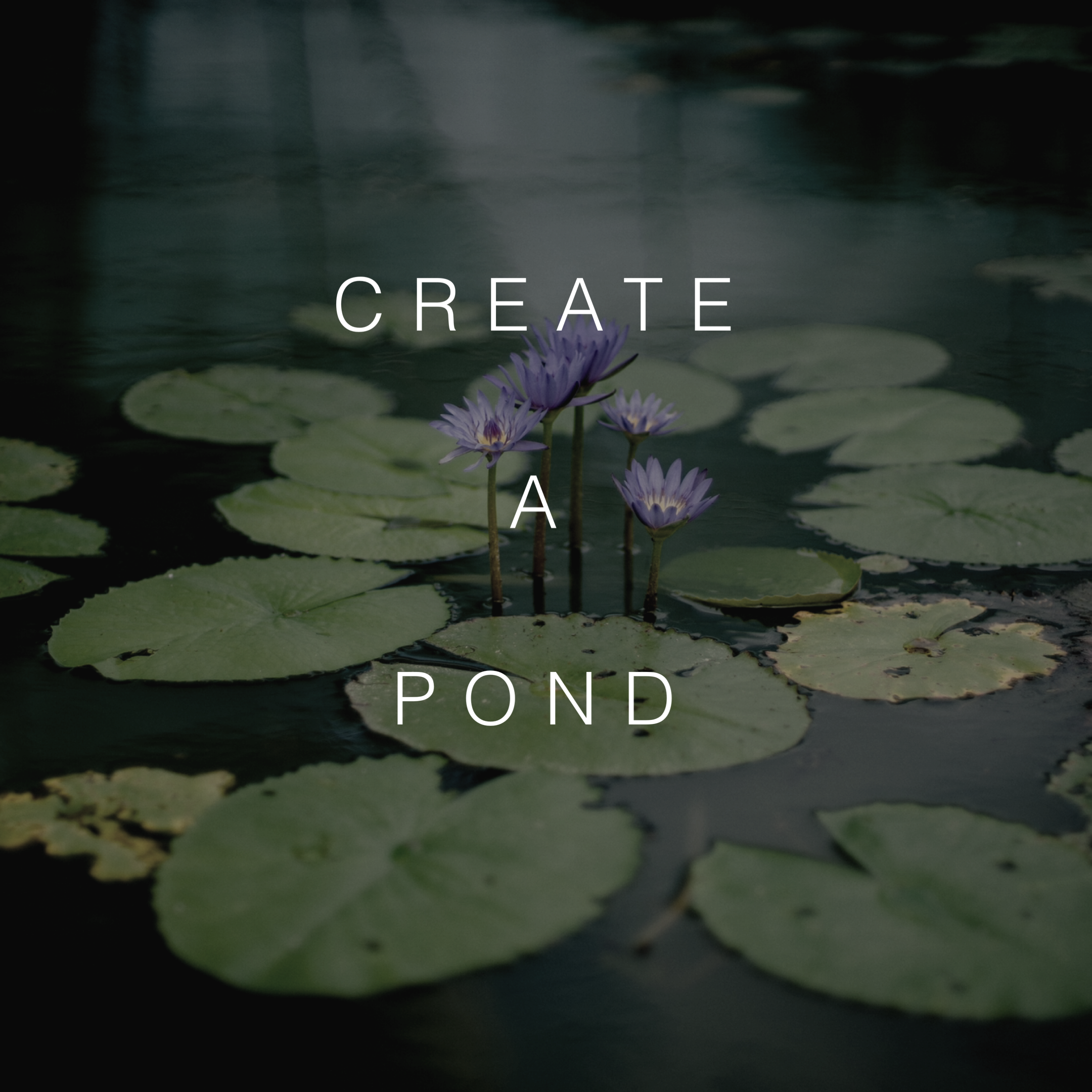 Create A Pond