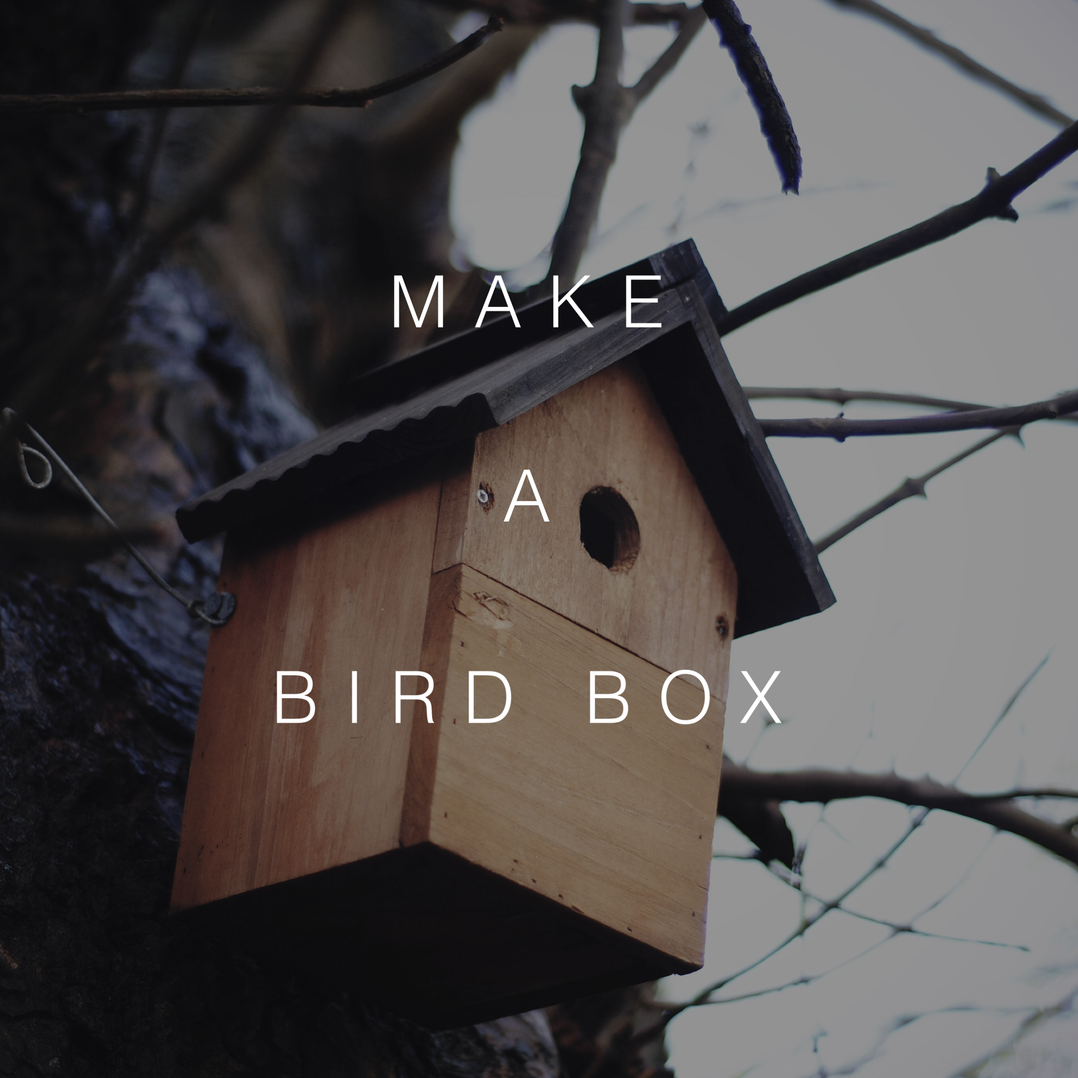Make a Bird Box