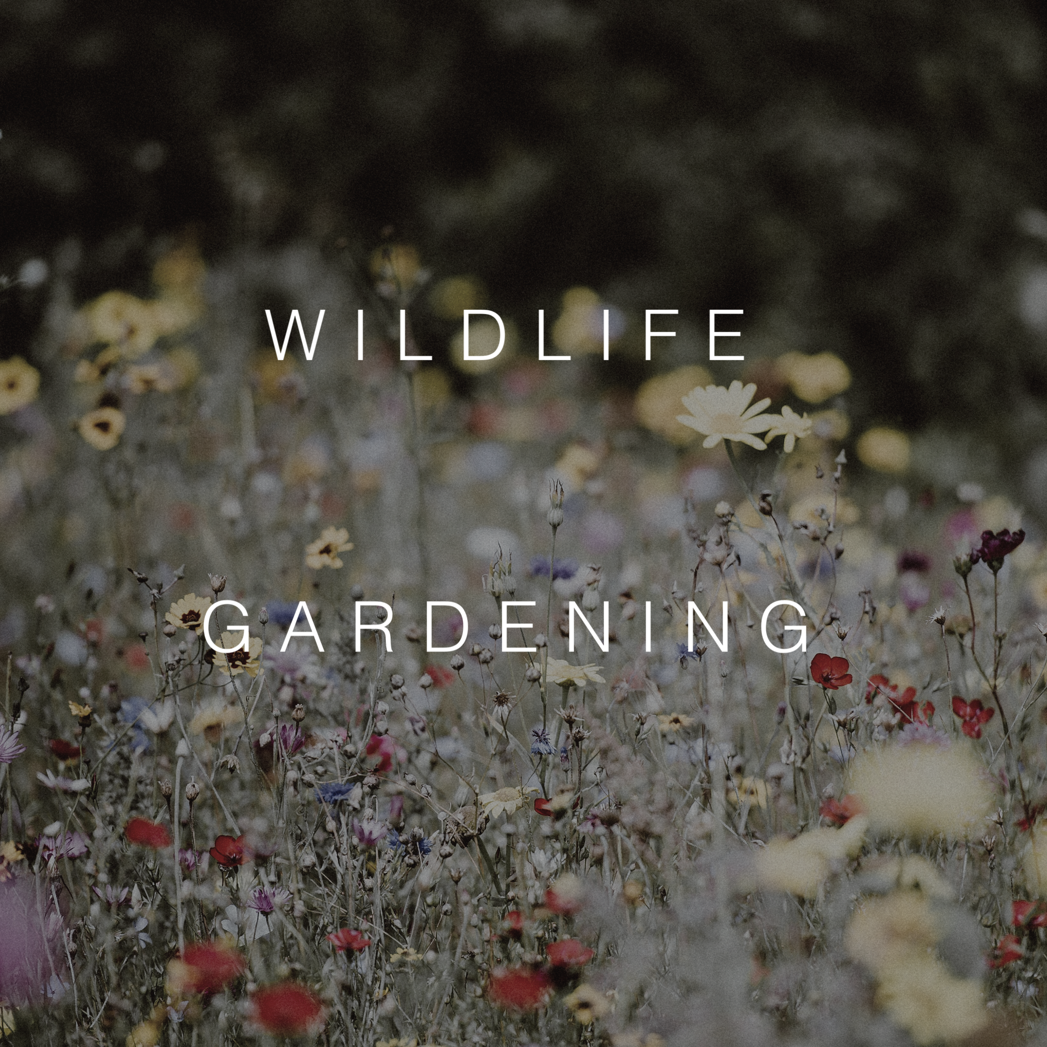 Wildlife Gardening