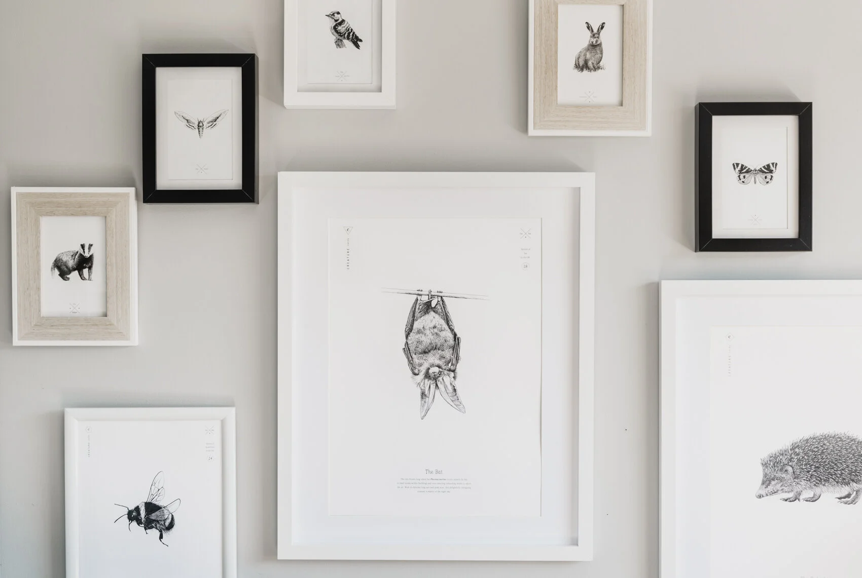 All prints 3].jpg