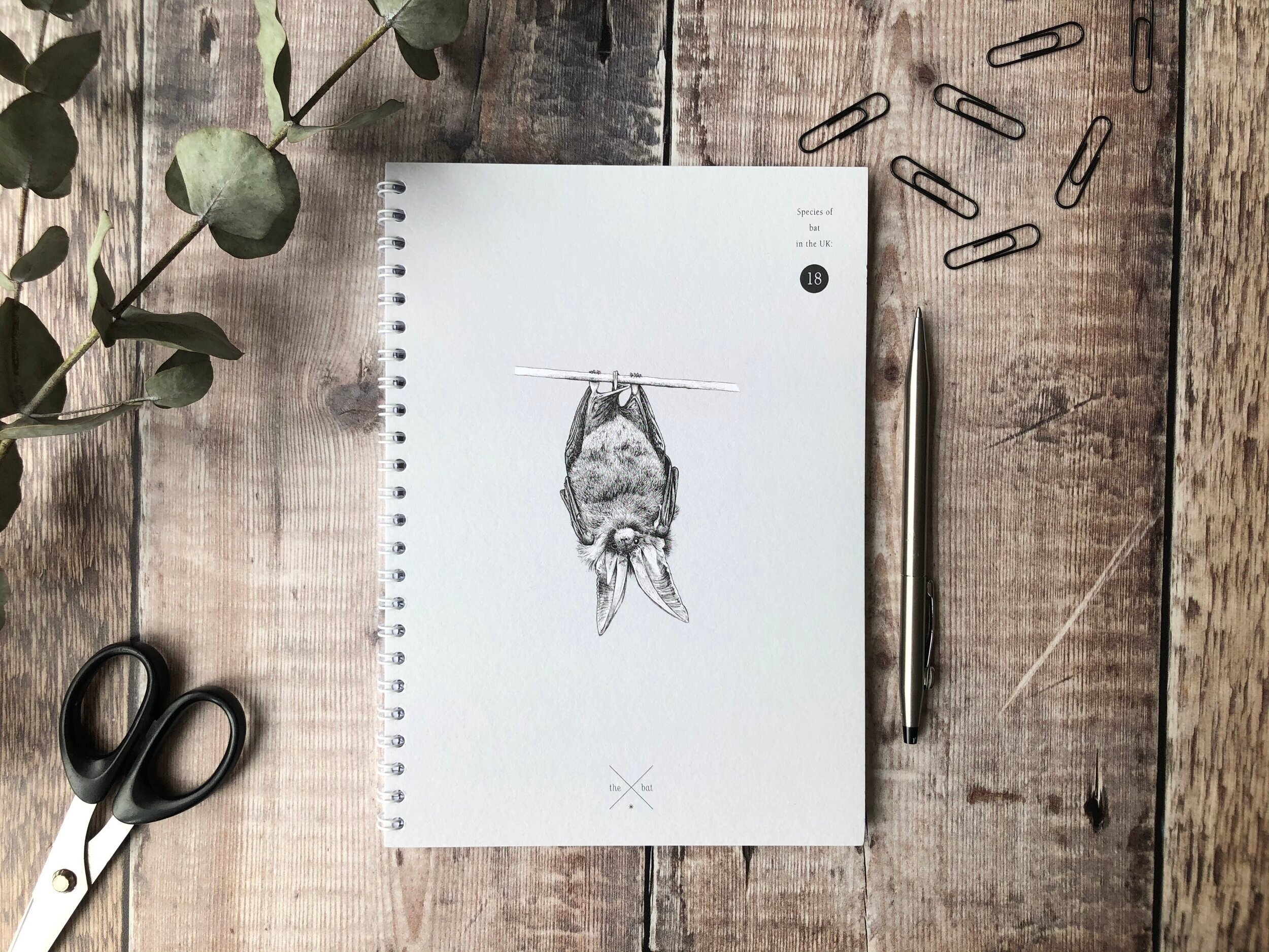 LE Bat Notebook - Lined.jpg