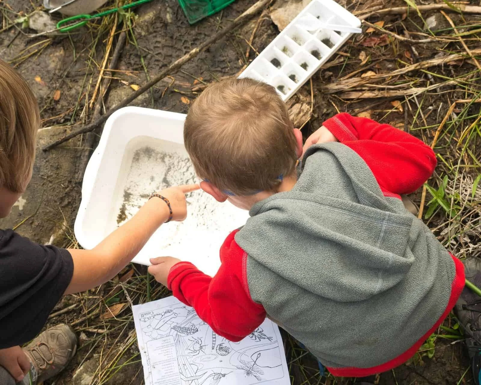 Picture credit: Backwoods Mama