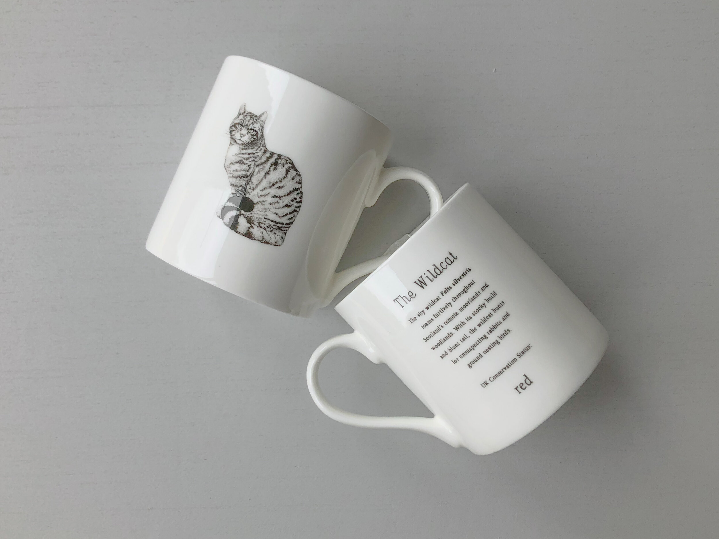 Wildcat Mug.JPG