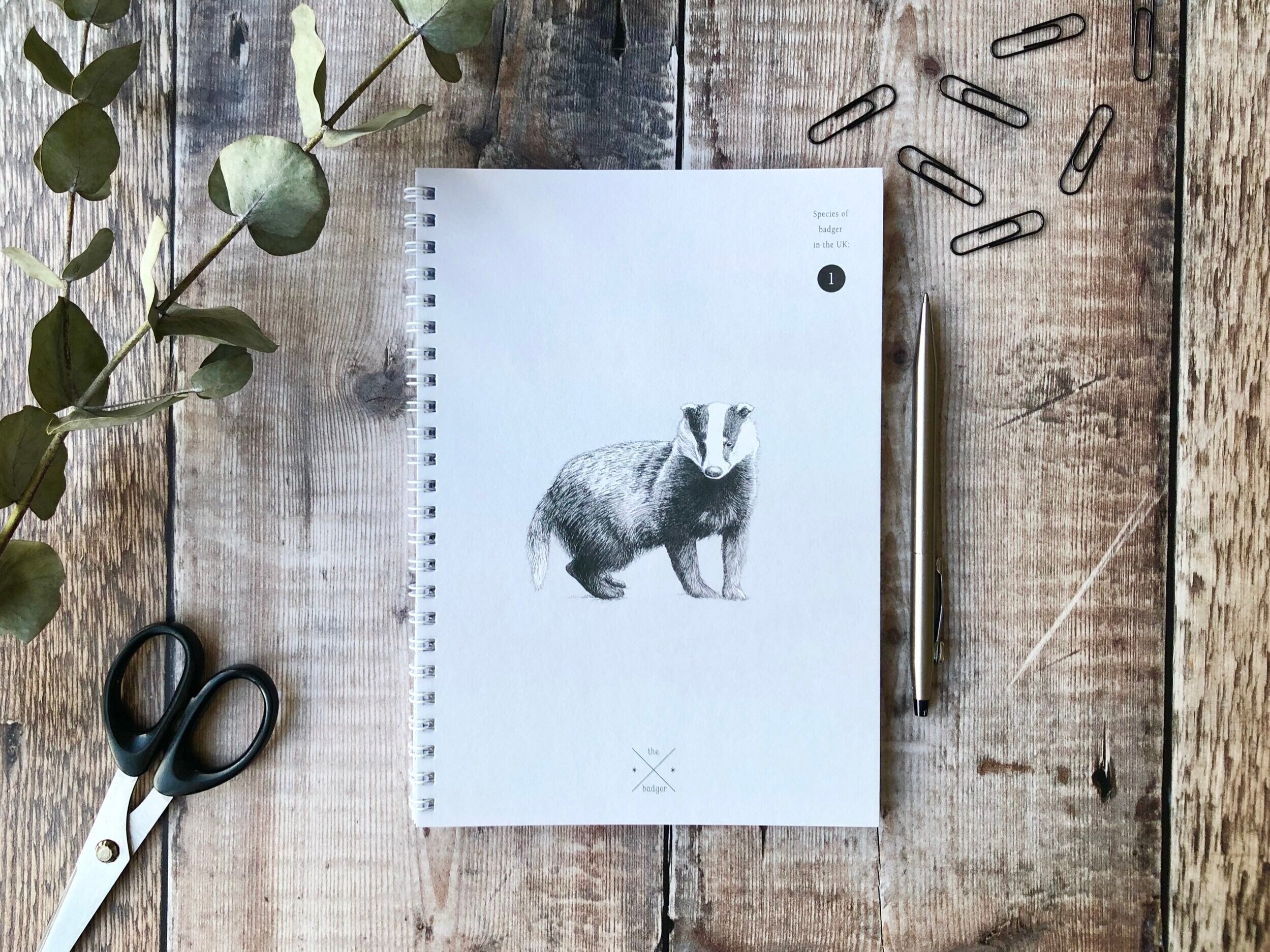 Badger Notebook - Lined.jpg