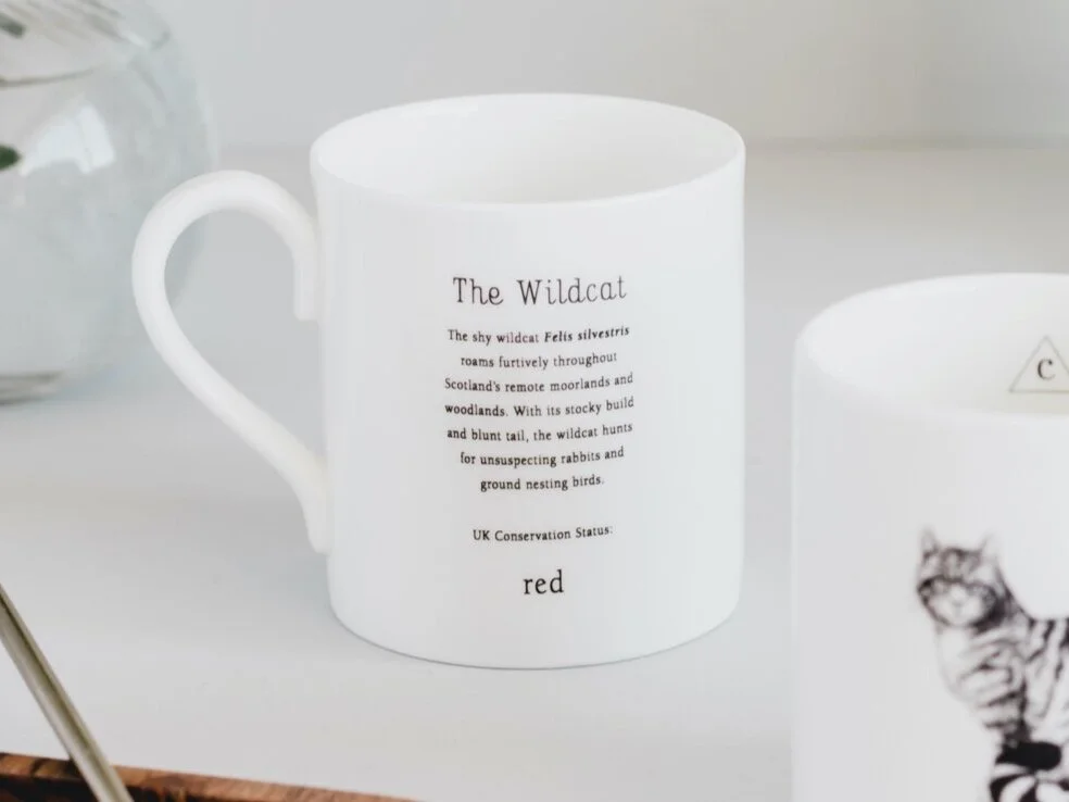 Wildcat+Mug+Back.jpg