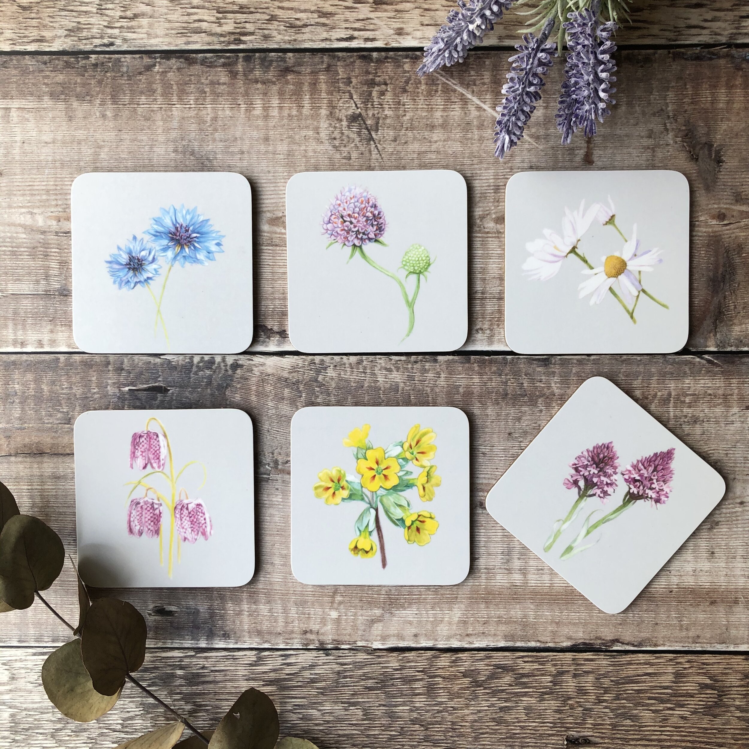 Botanical Coasters