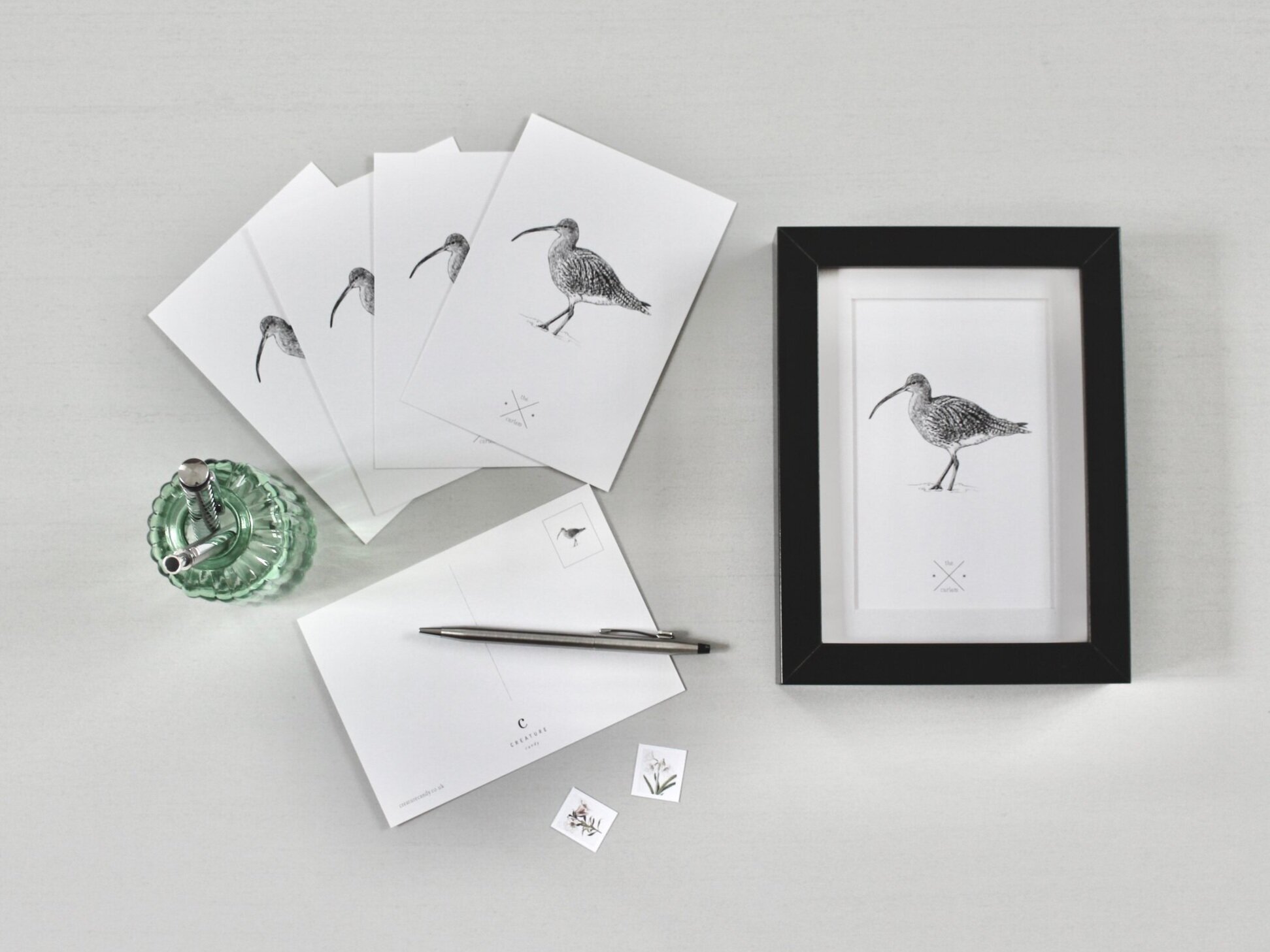 Curlew Postcards