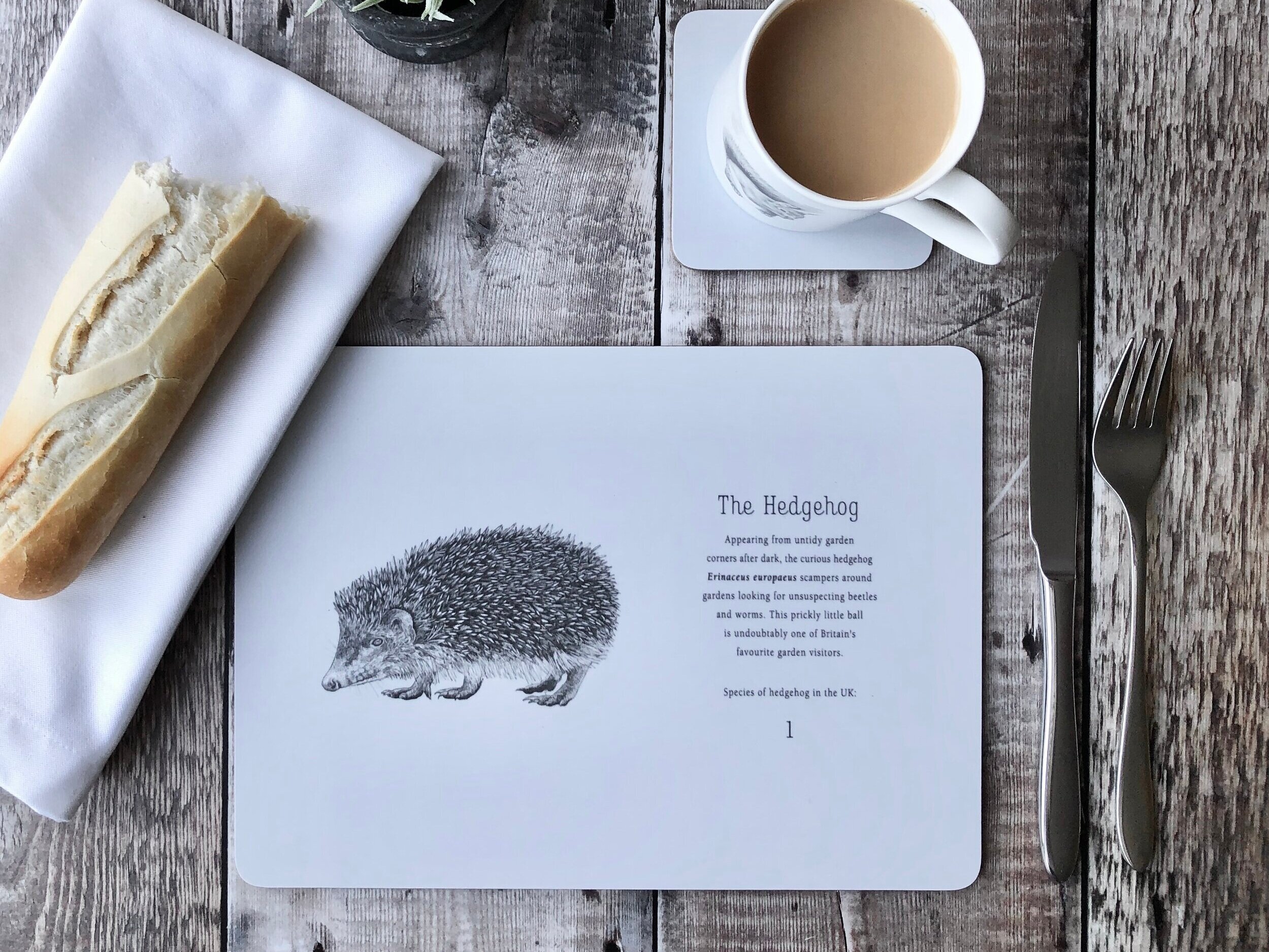 Hedgehog Placemat