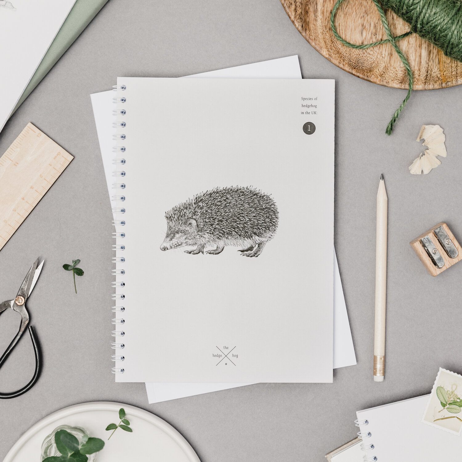 Hedgehog Notebook